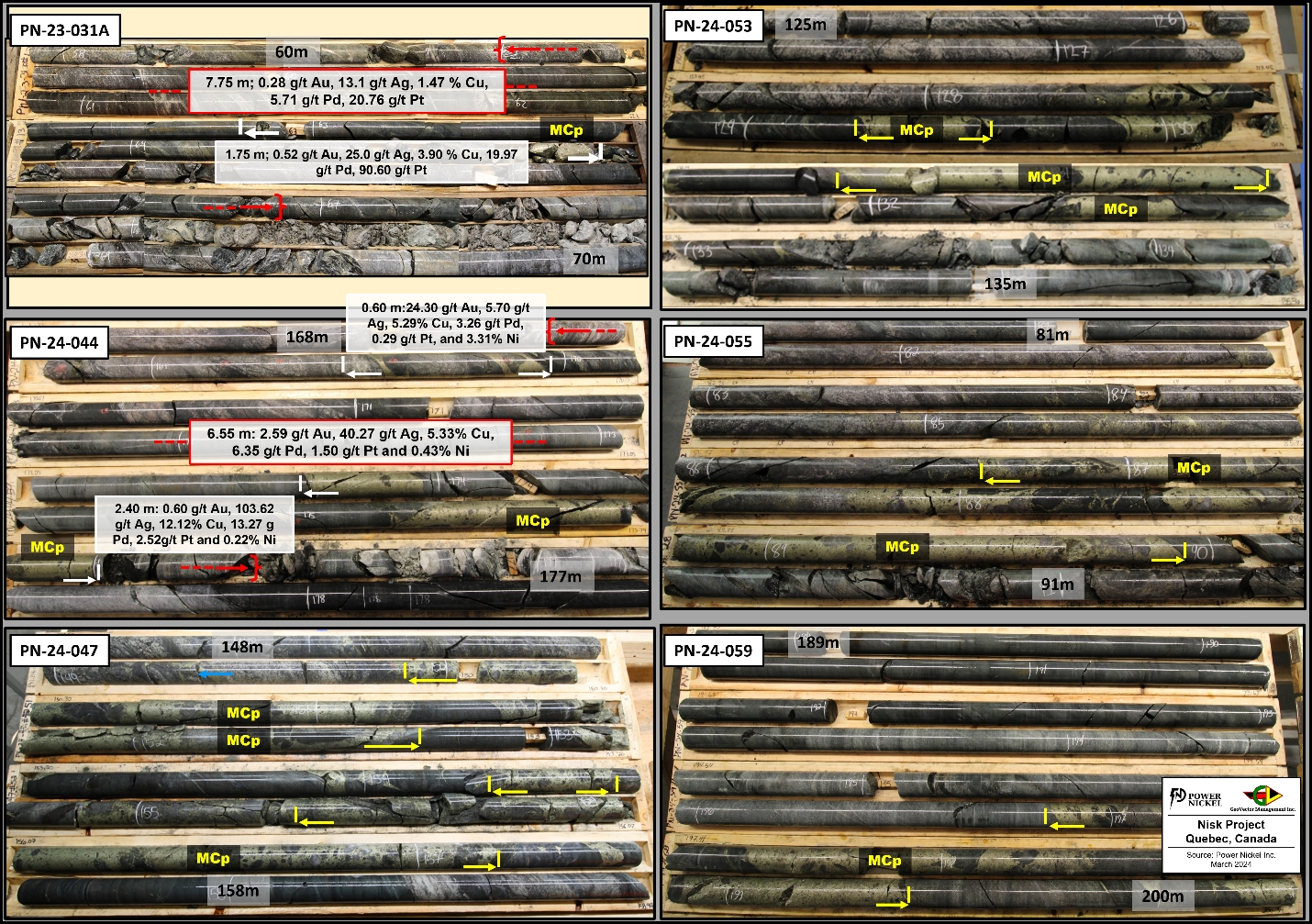 Core pictures showing the relation between observed massive chalcopyrite and grade in both PN-23-031A and PN-24-044, and massive chalcopyrite (MCp) observed in four other recent holes.