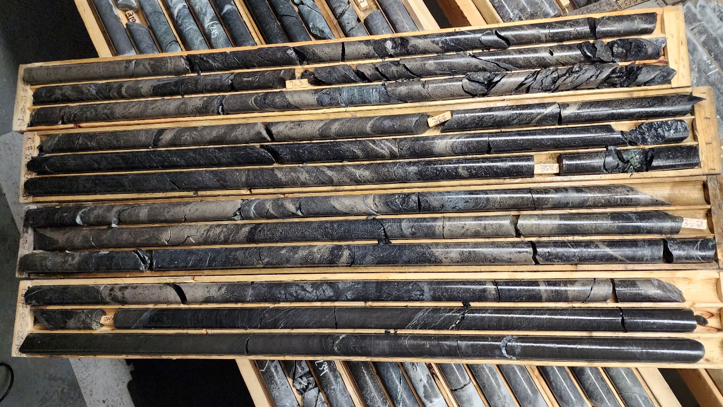 Photo of drill cores containing high grade nickel intercepts